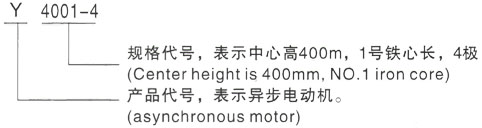 西安泰富西玛Y系列(H355-1000)高压渭城三相异步电机型号说明